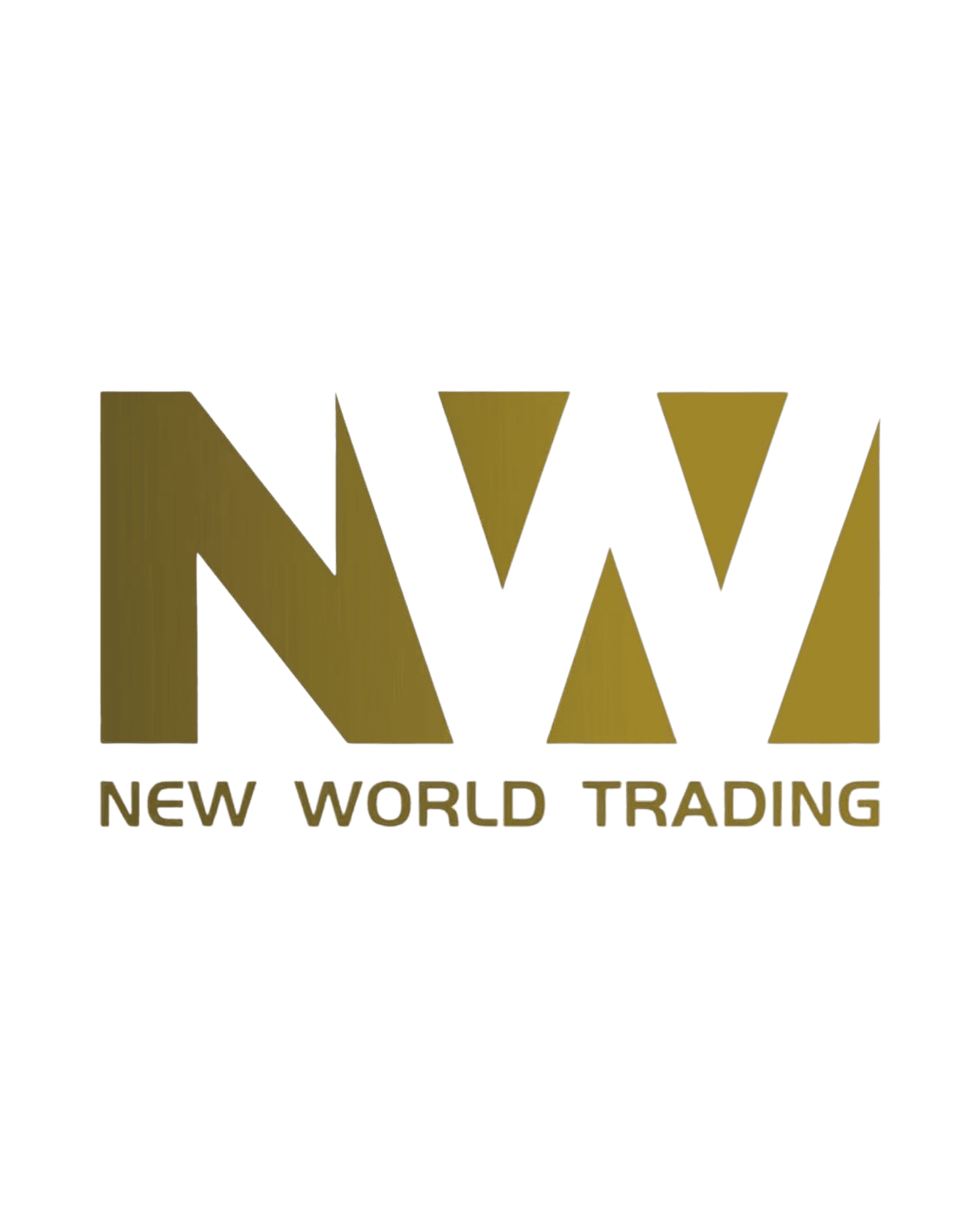 Logo PT New World Trading Indonesia